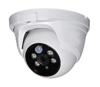 IP PIR Dome Cam